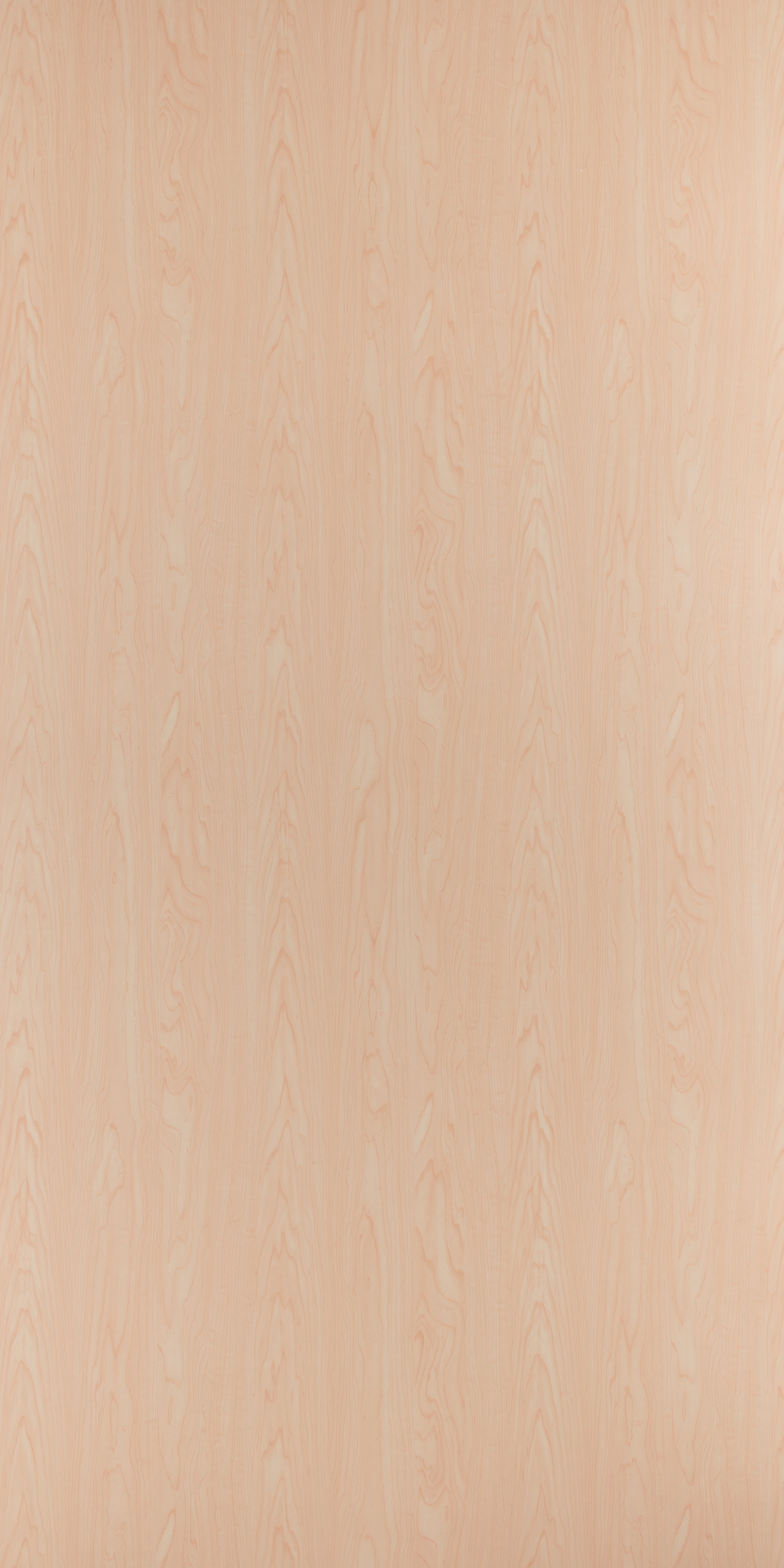 Maple Glen Splendor Laminates